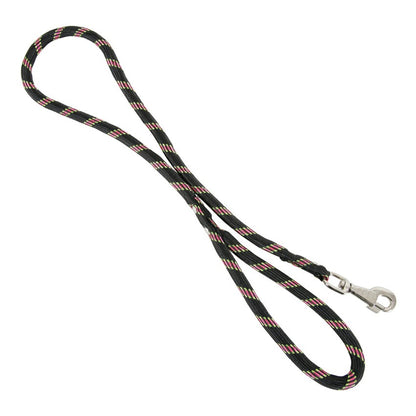 Laisse corde en nylon chien