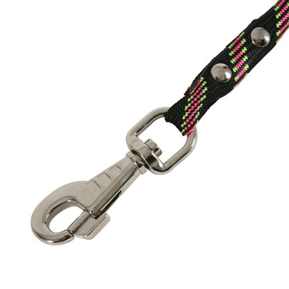 Laisse corde en nylon chien