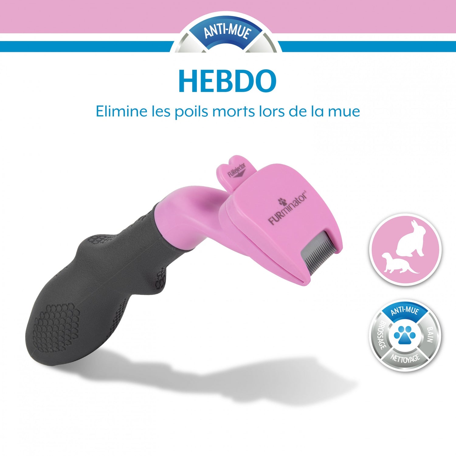 Brosse anti-mue rongeur, lapin, furet
