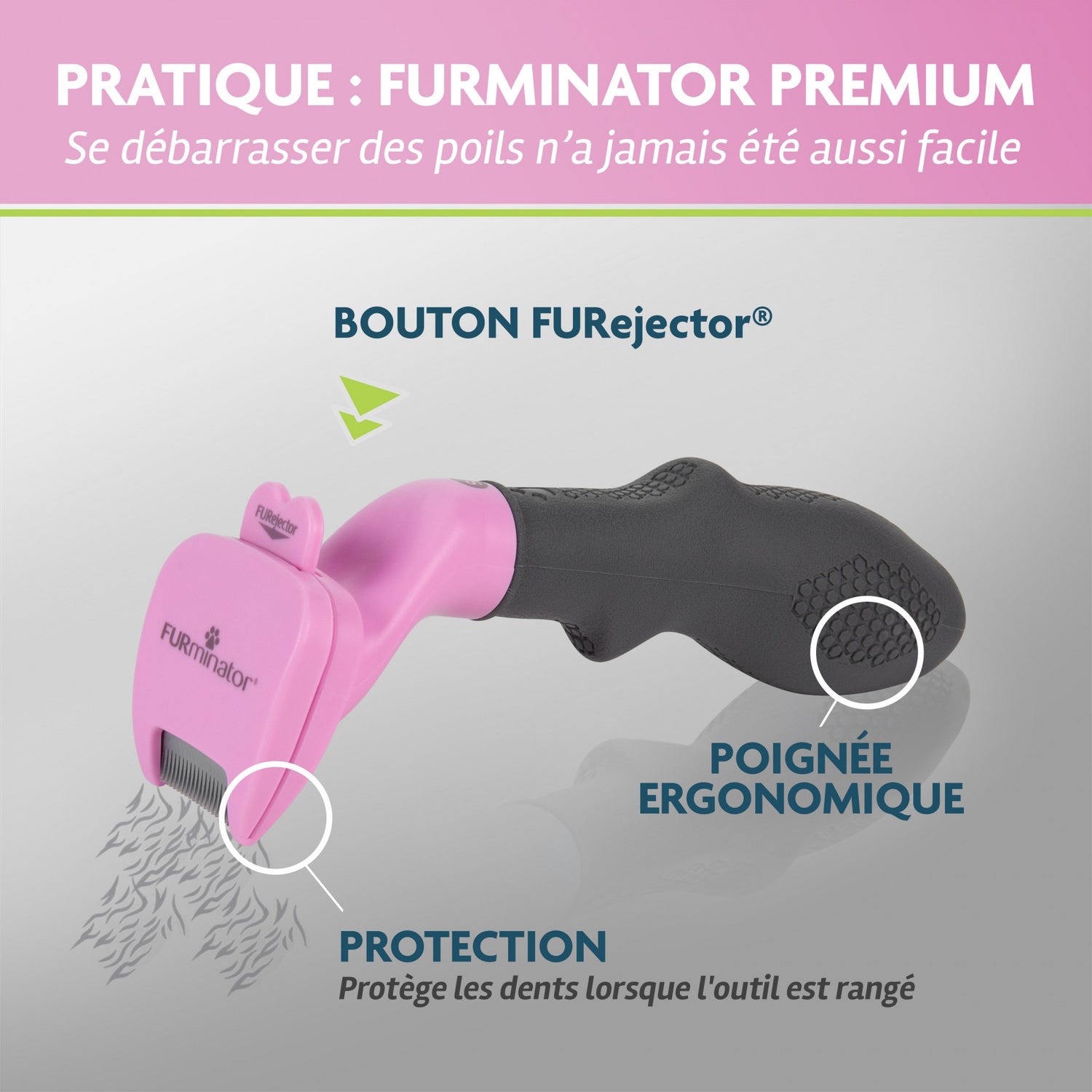 Brosse anti-mue rongeur, lapin, furet