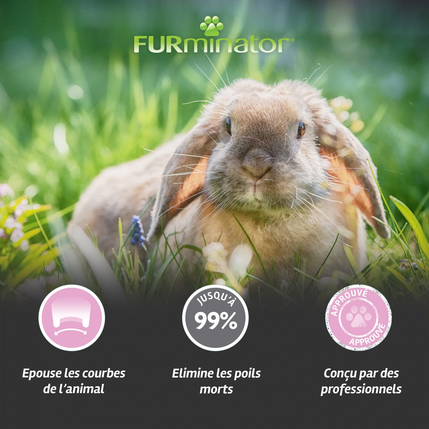 Brosse anti-mue rongeur, lapin, furet