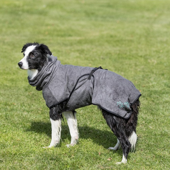 Peignoir de bain chien