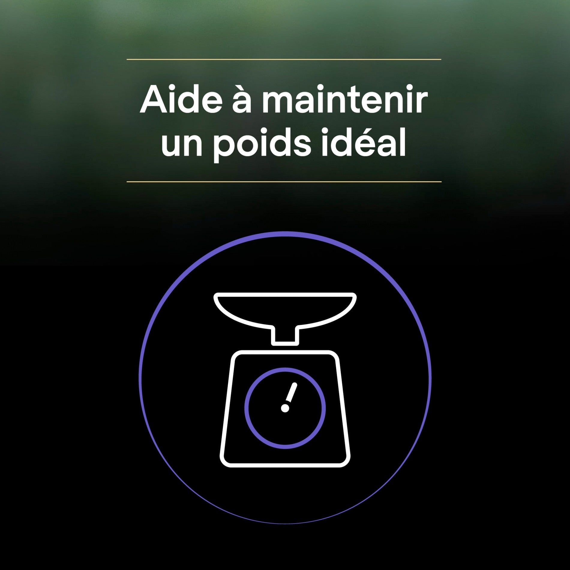 Pro Plan LiveClear Kitten à la dinde - croquettes chaton