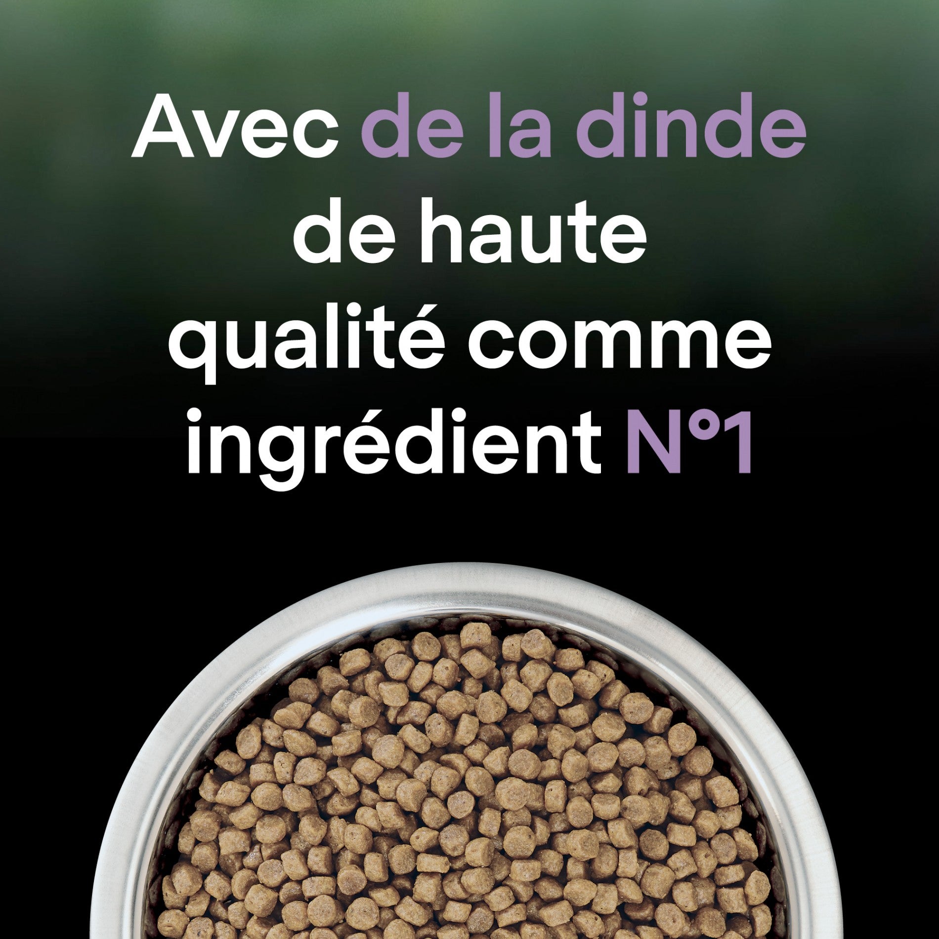 Pro Plan LiveClear Kitten à la dinde - croquettes chaton