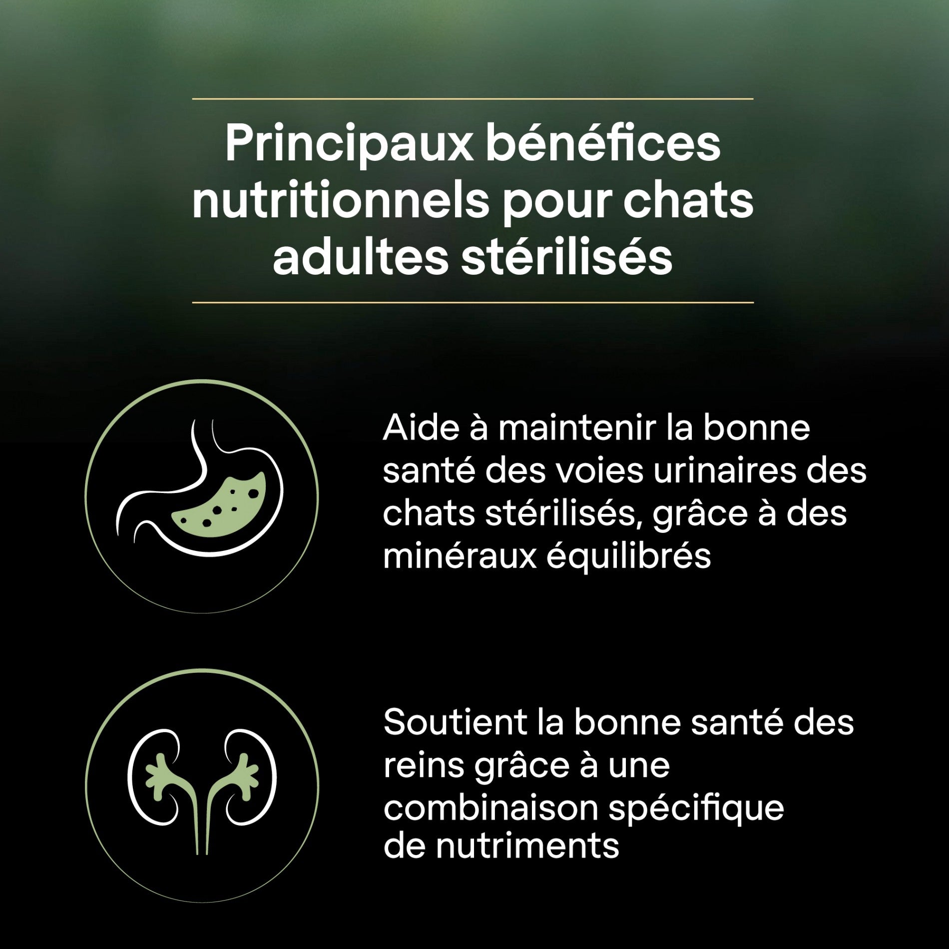 PRO PLAN LiveClear Sterilised Adult à la Dinde - Croquettes pour chat