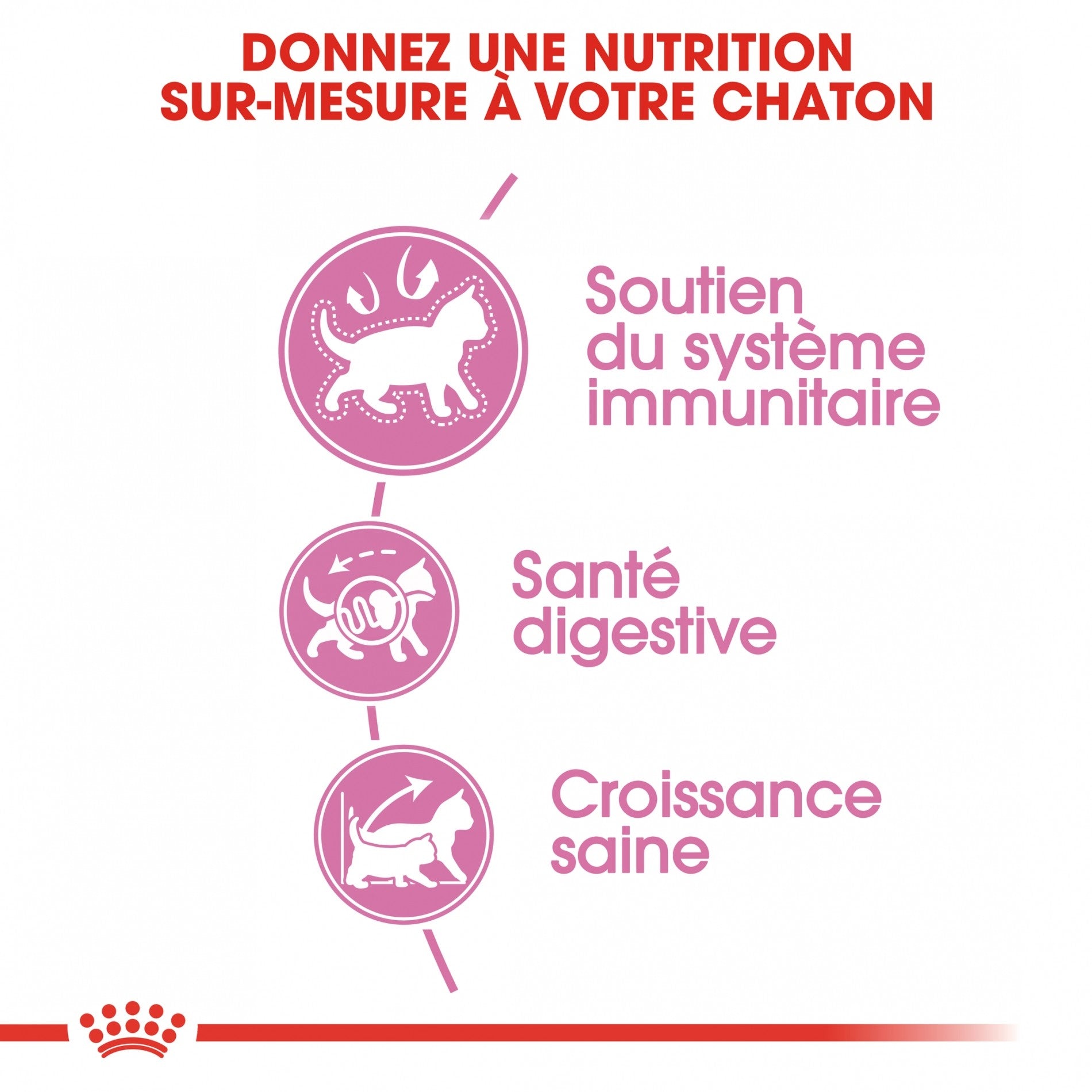 Royal Canin Kitten Second Age - croquettes chaton