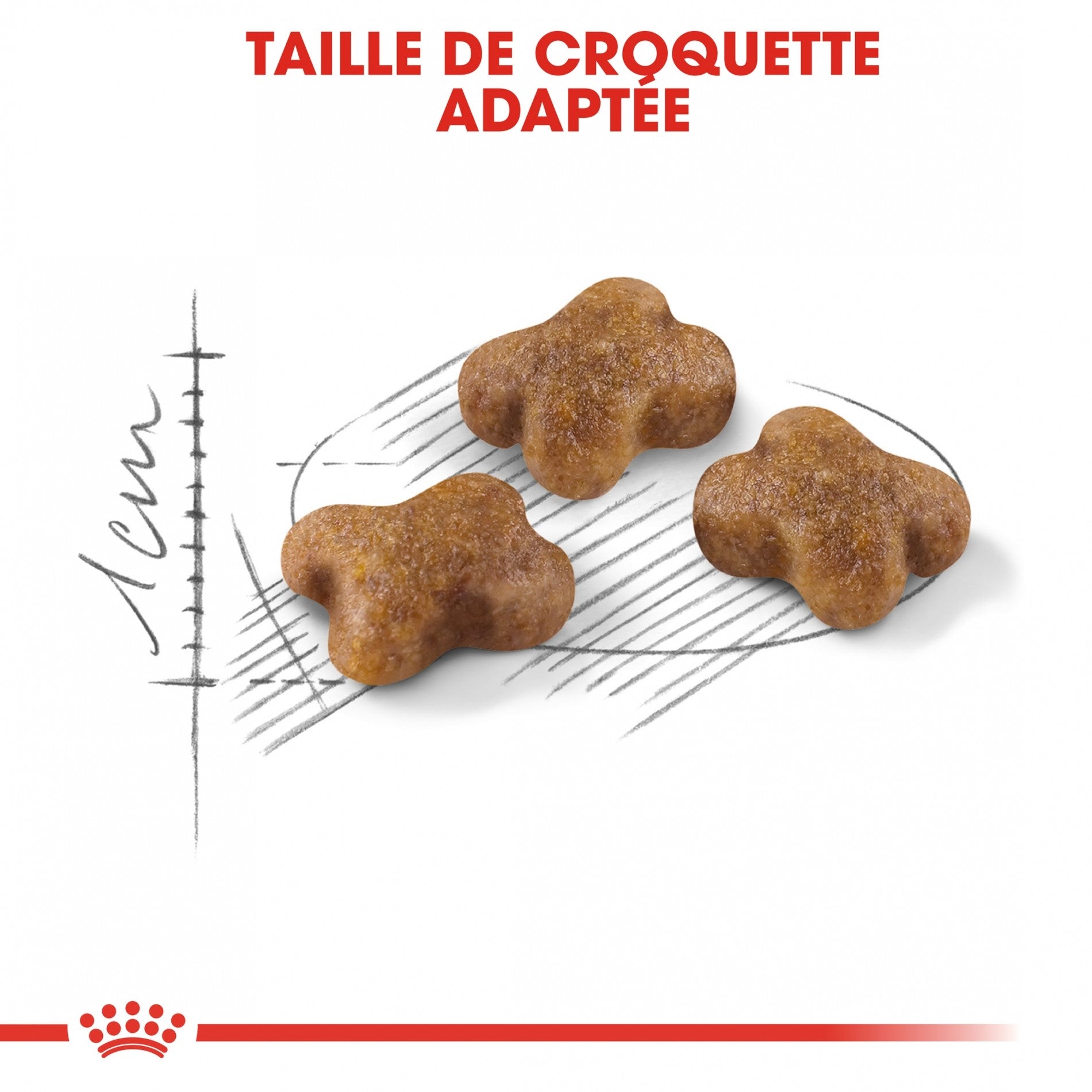 Royal Canin Kitten Second Age - croquettes chaton
