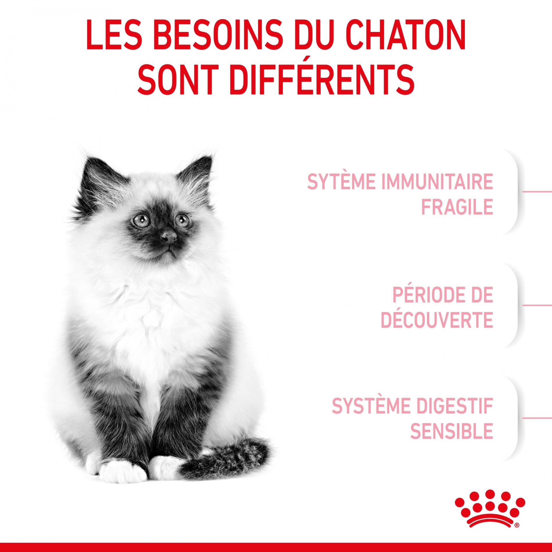 Royal Canin Kitten Second Age - croquettes chaton