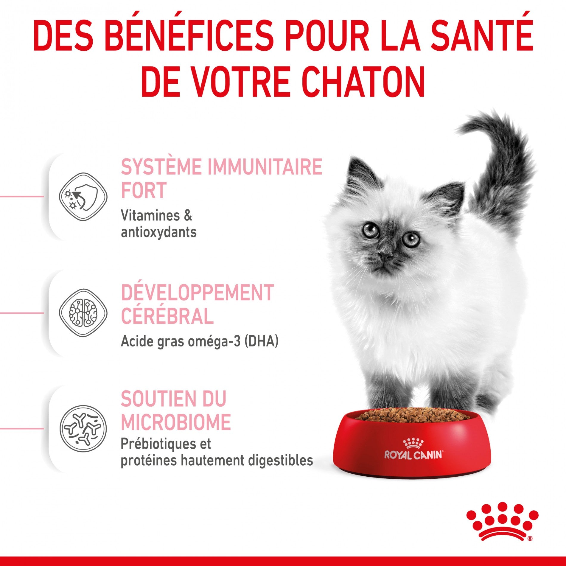 Royal Canin Kitten Second Age - croquettes chaton