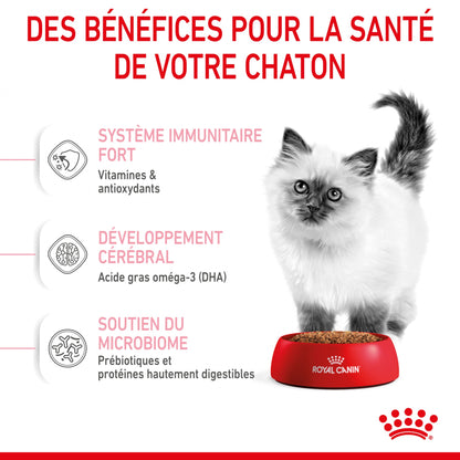 Royal Canin Kitten Second Age - croquettes chaton