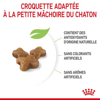 Royal Canin Kitten Second Age - croquettes chaton
