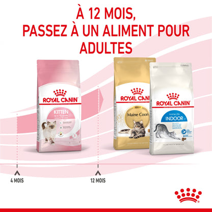Royal Canin Kitten Second Age - croquettes chaton