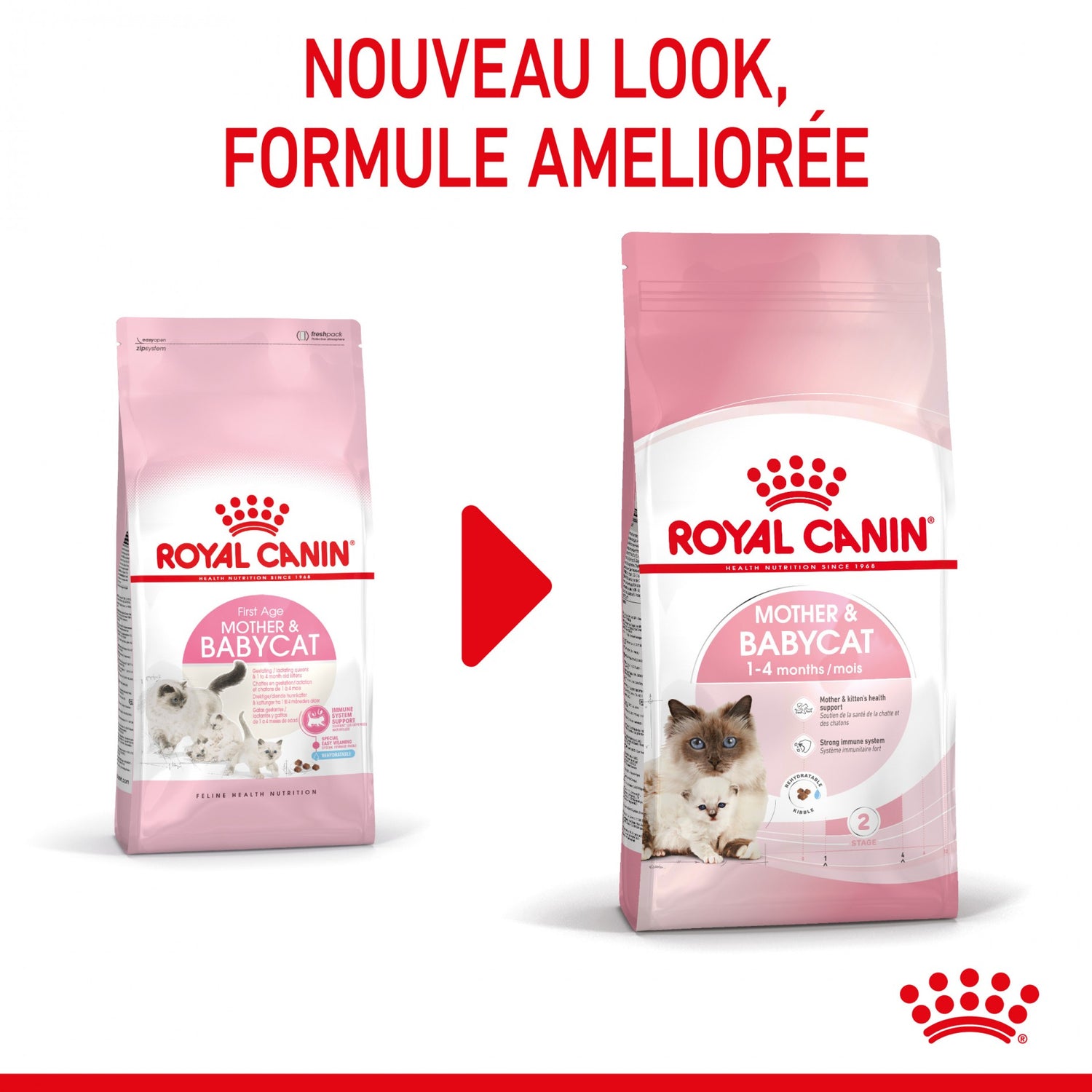 ROYAL CANIN Mother &amp; BabyCat - Croquettes pour chatte et chaton