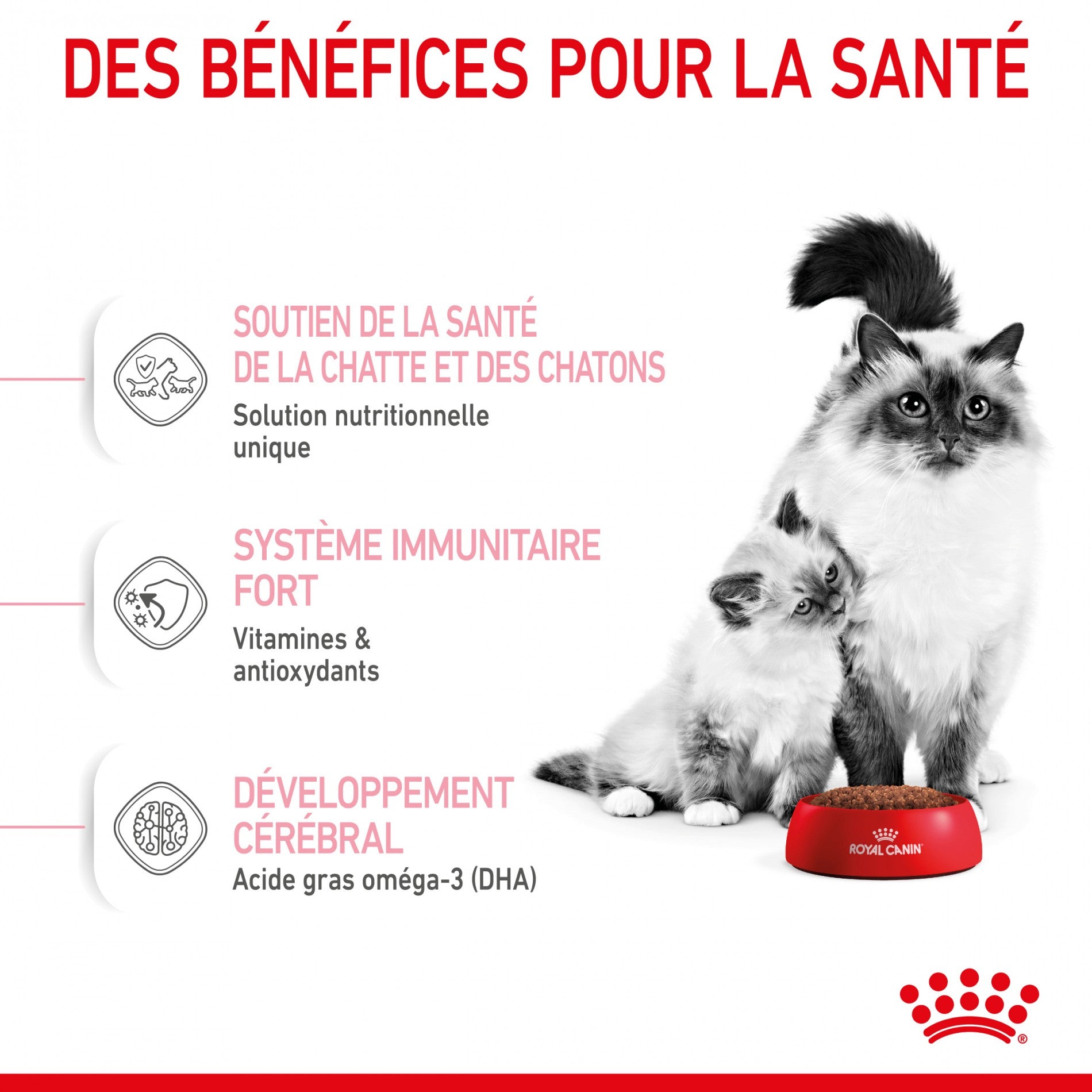 ROYAL CANIN Mother &amp; BabyCat - Croquettes pour chatte et chaton