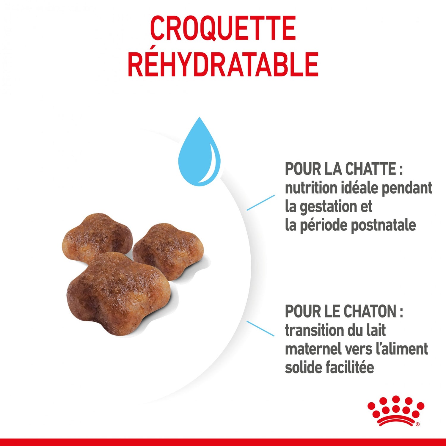 ROYAL CANIN Mother &amp; BabyCat - Croquettes pour chatte et chaton
