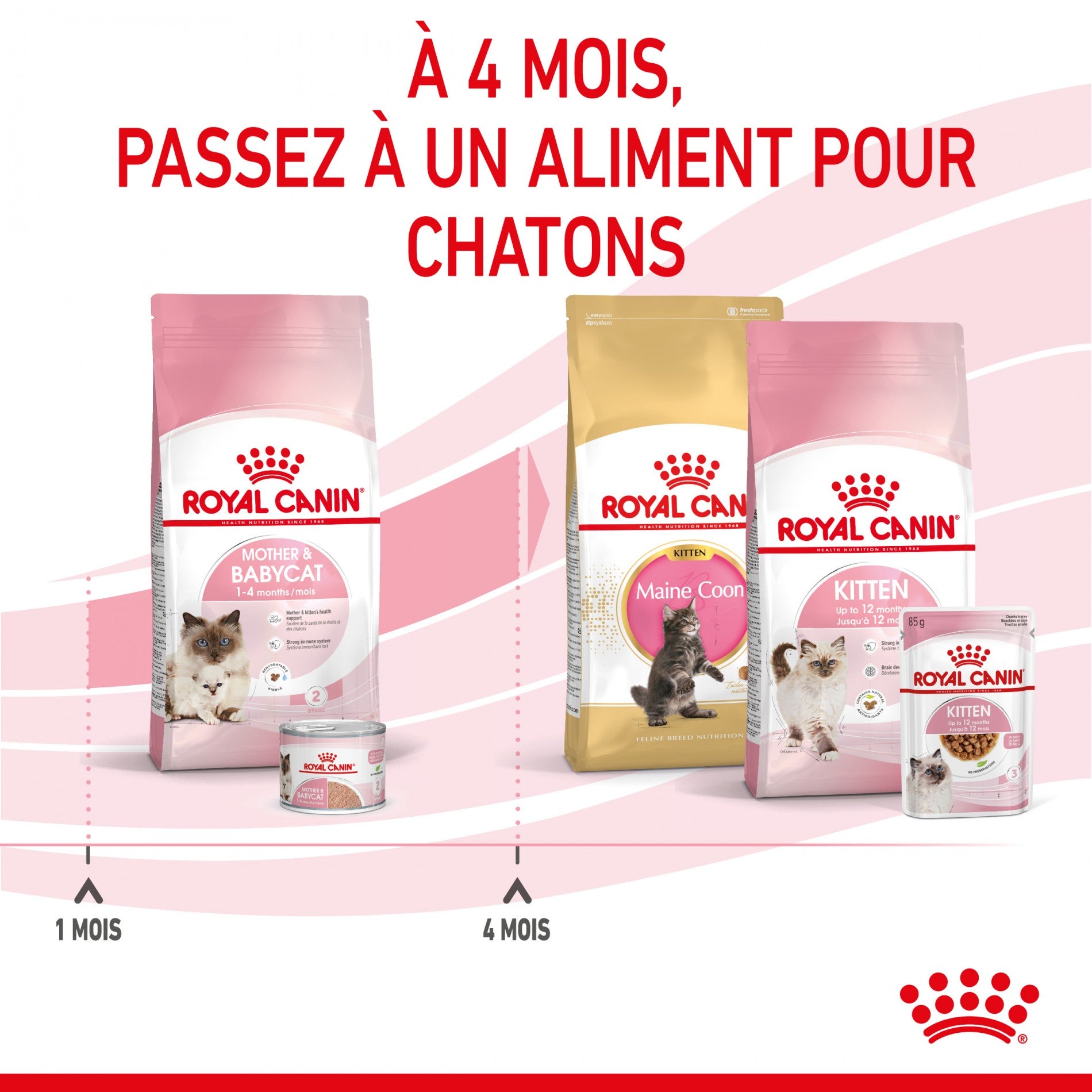 ROYAL CANIN Mother &amp; BabyCat - Croquettes pour chatte et chaton