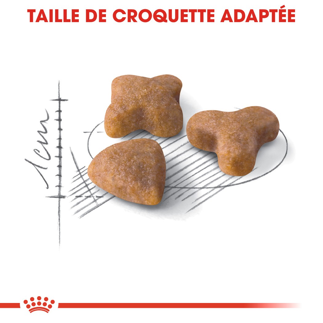 Royal Canin Sensible 33 - croquettes chat