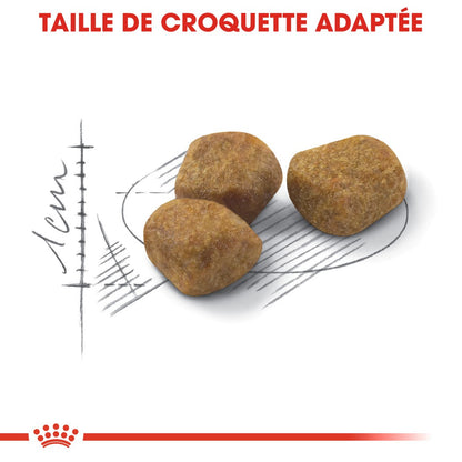 Royal Canin Indoor 7+