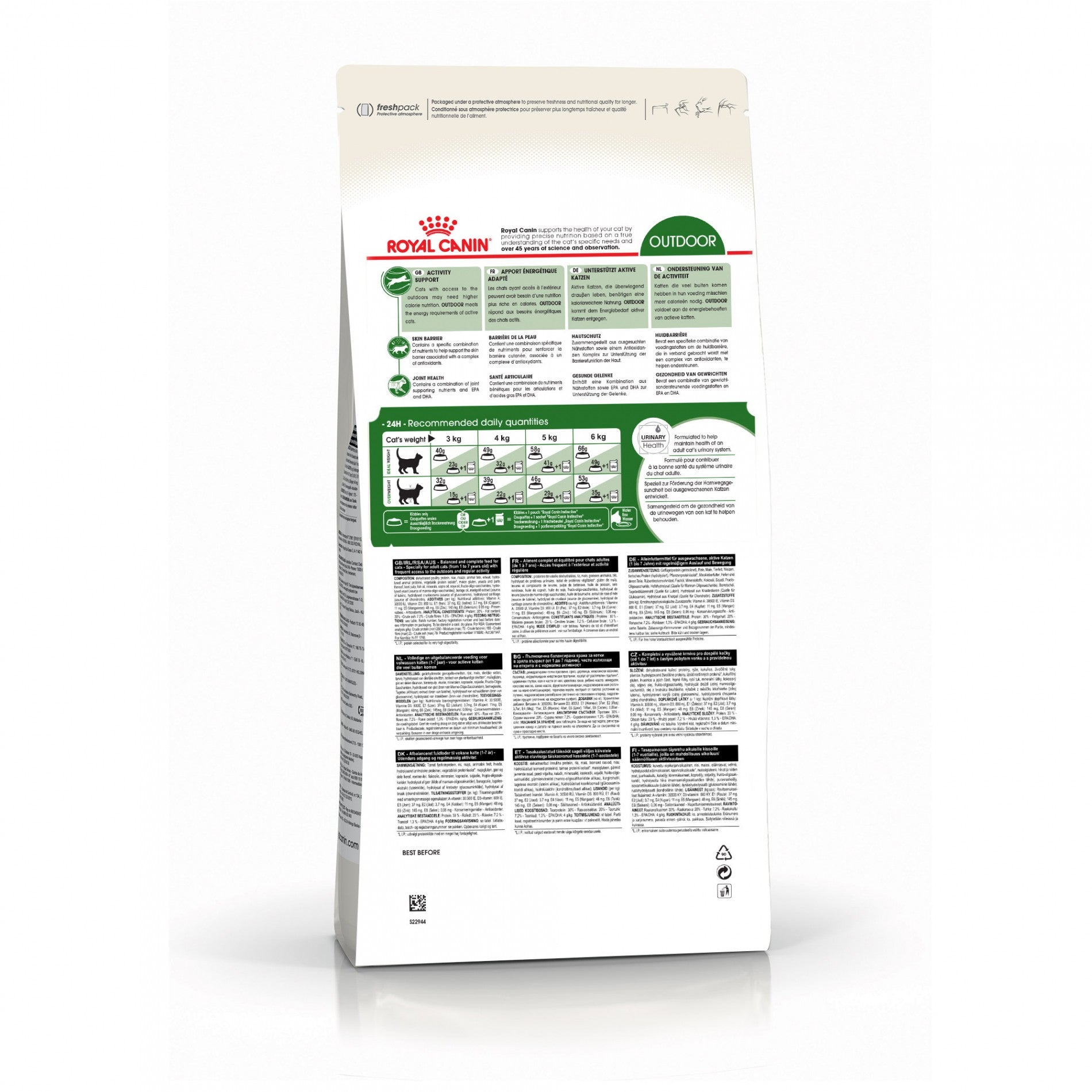 Royal Canin Outdoor - croquettes chat