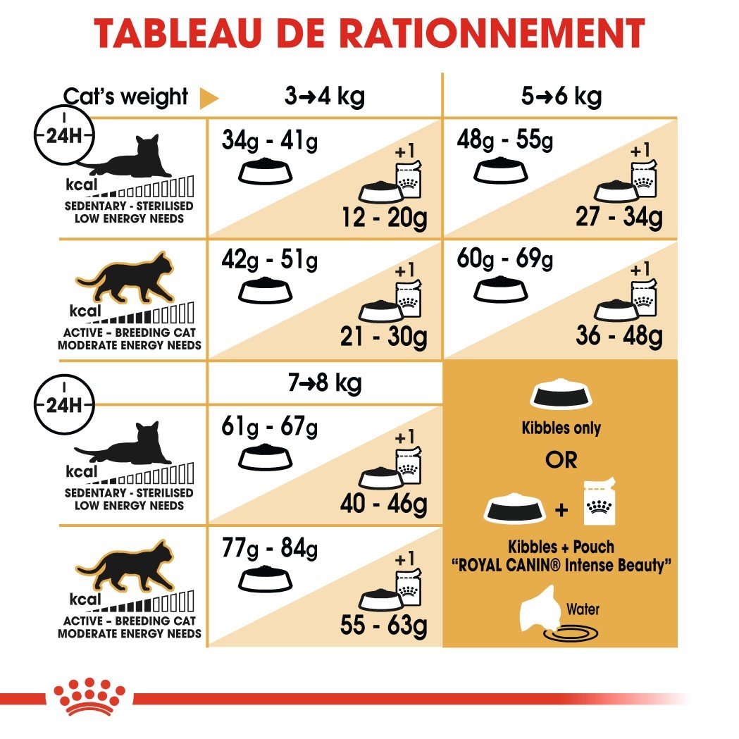Royal Canin Bengal Adult - croquettes chat