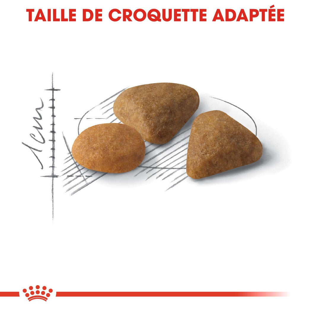 Royal Canin Savour Exigent - croquettes chat