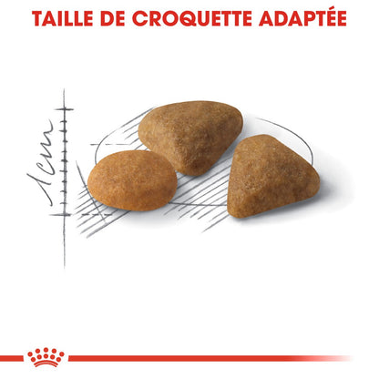 Royal Canin Savour Exigent - croquettes chat