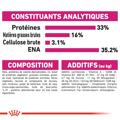 Royal Canin Savour Exigent - croquettes chat