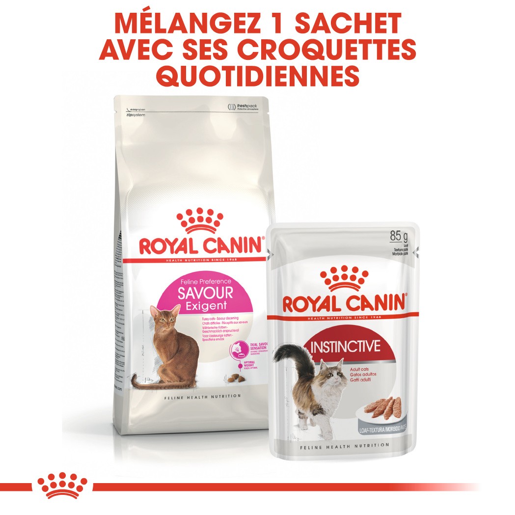 Royal Canin Savour Exigent - croquettes chat