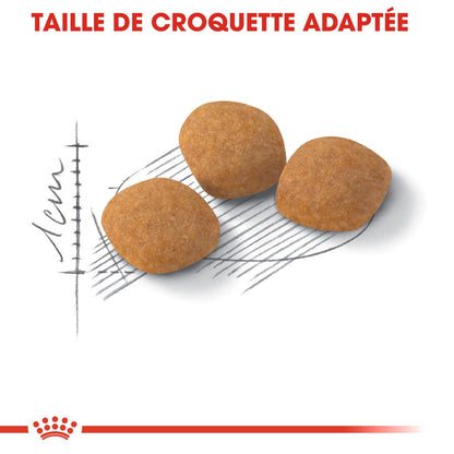 Royal Canin Protein Exigent