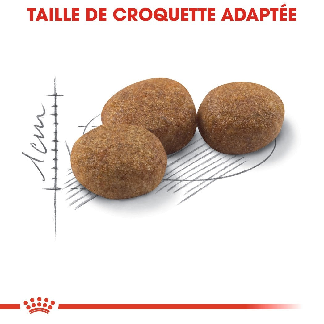 Royal Canin Sterilised 37 croquettes chat