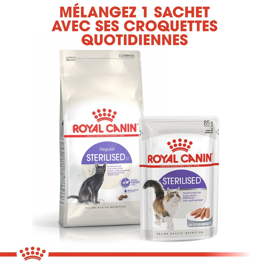 Royal Canin Sterilised 37 croquettes chat