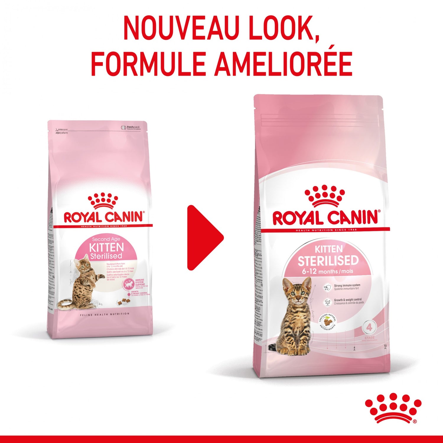 Royal Canin Kitten Sterilised - croquettes chaton