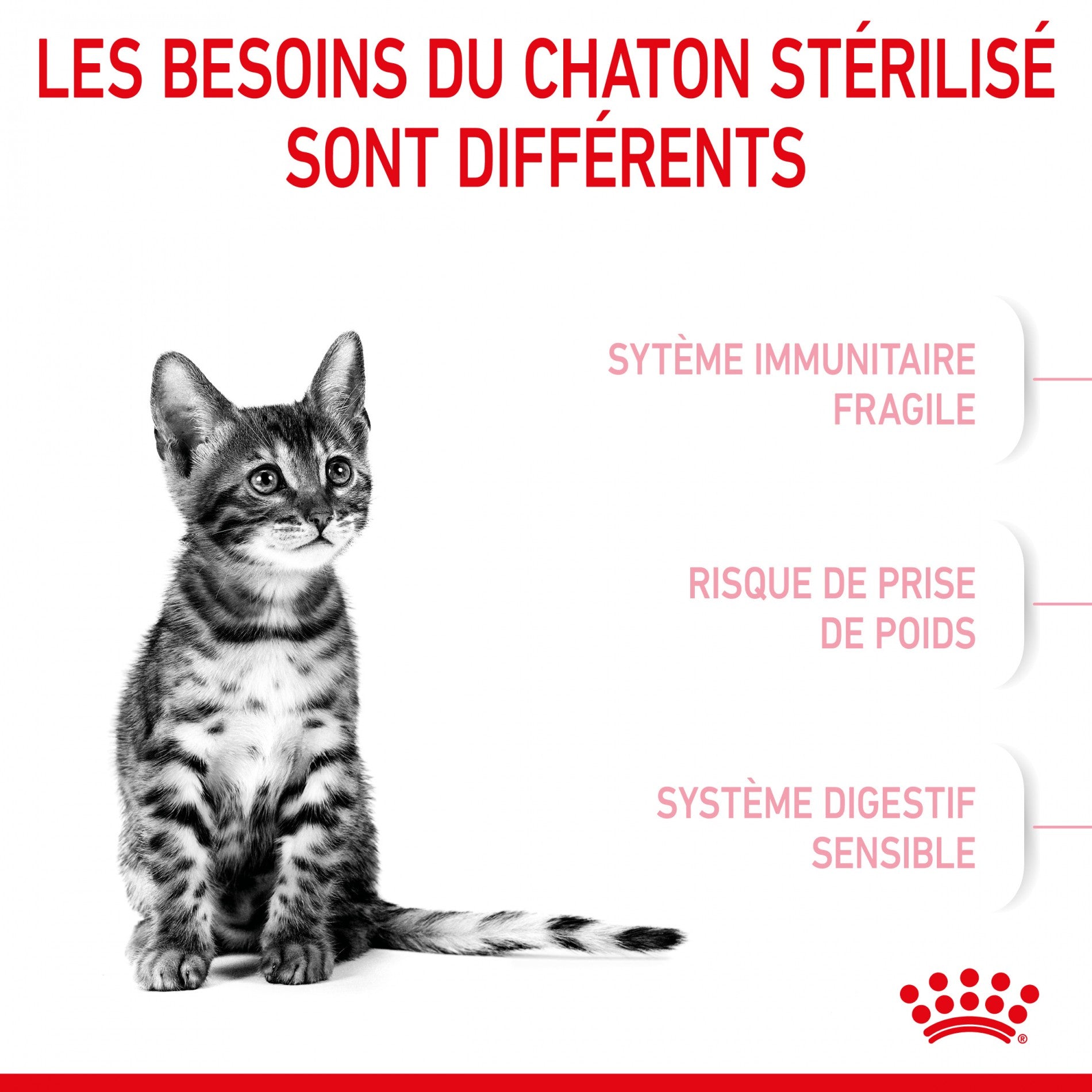 Royal Canin Kitten Sterilised - croquettes chaton