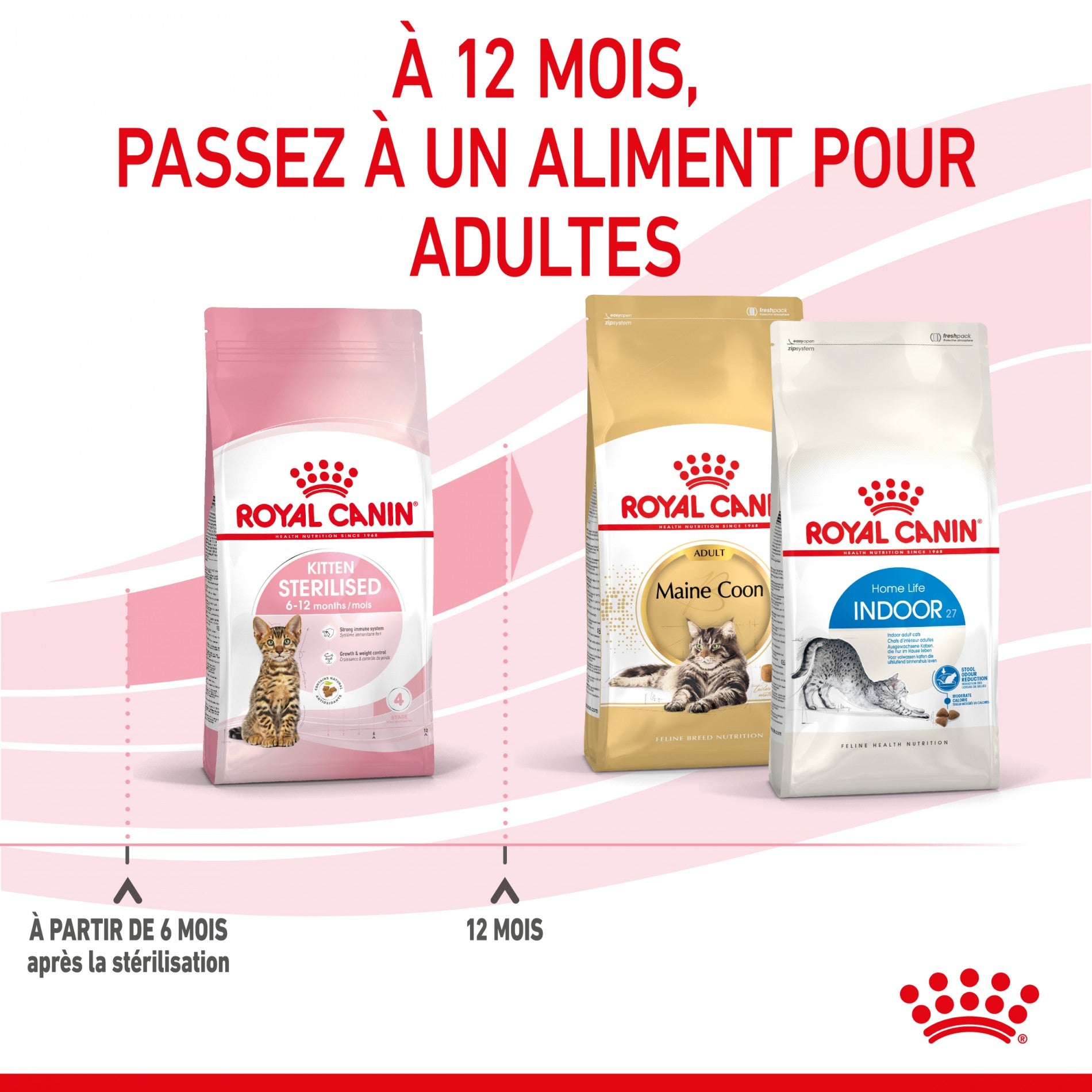 Royal Canin Kitten Sterilised - croquettes chaton
