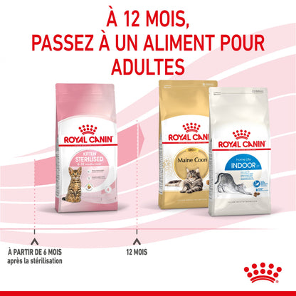 Royal Canin Kitten Sterilised - croquettes chaton