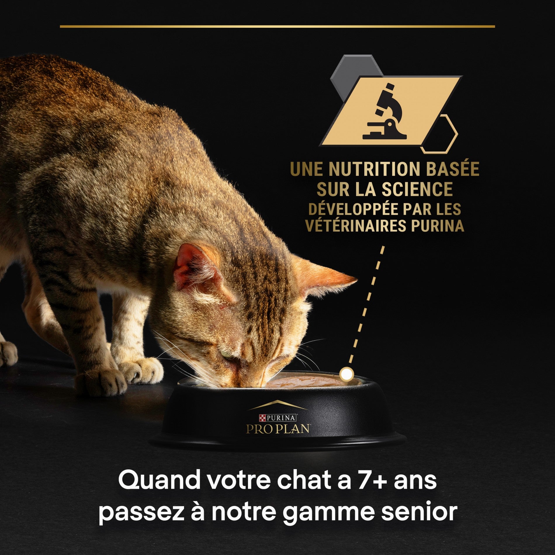 Pro Plan Delicate - pâtée chat