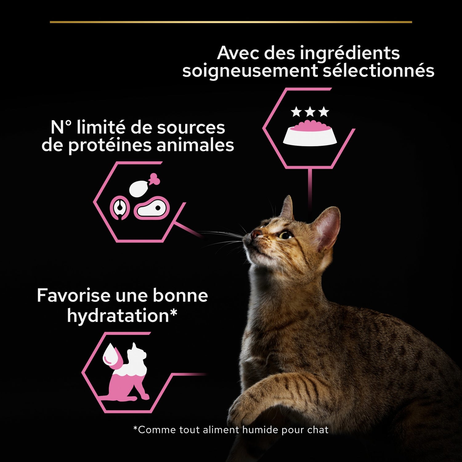 Pro Plan Delicate - pâtée chat