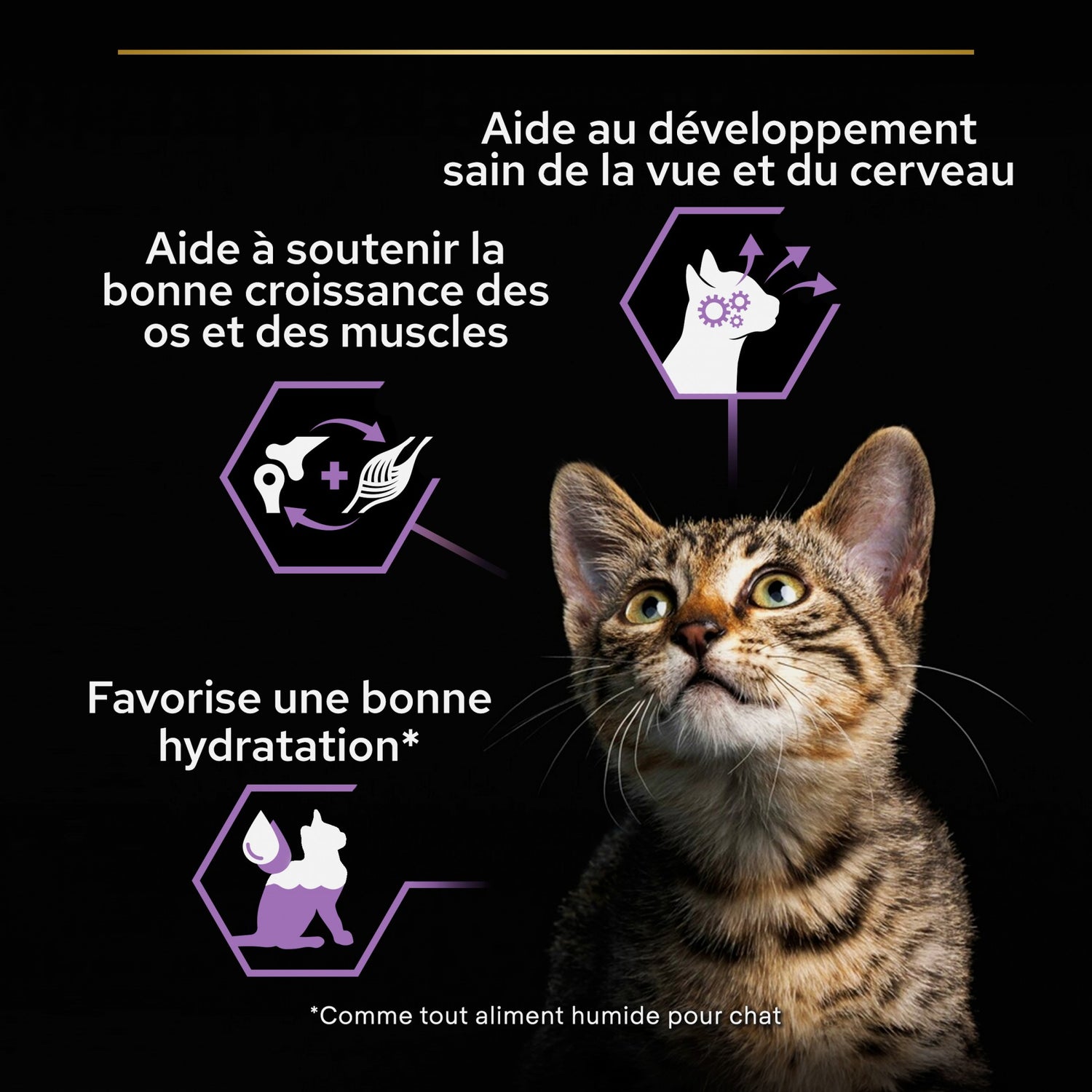Pro Plan Healthy Start Kitten en mousse au poulet - pâtée chaton
