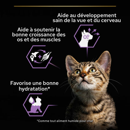 Pro Plan Healthy Start Kitten en mousse au poulet - pâtée chaton