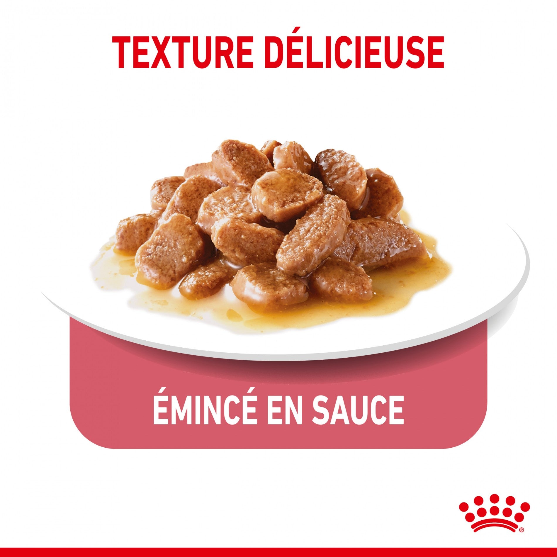 Royal Canin Light Weight Care - pâtée chat