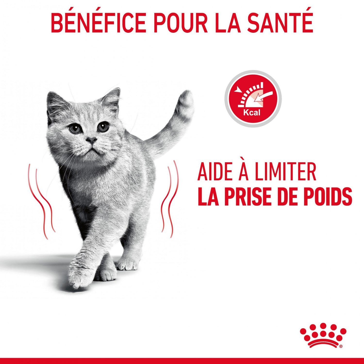 Royal Canin Light Weight Care - pâtée chat
