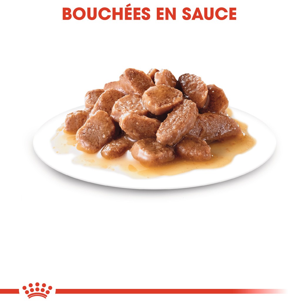 Royal Canin Instinctive 7+ - pâtée chat