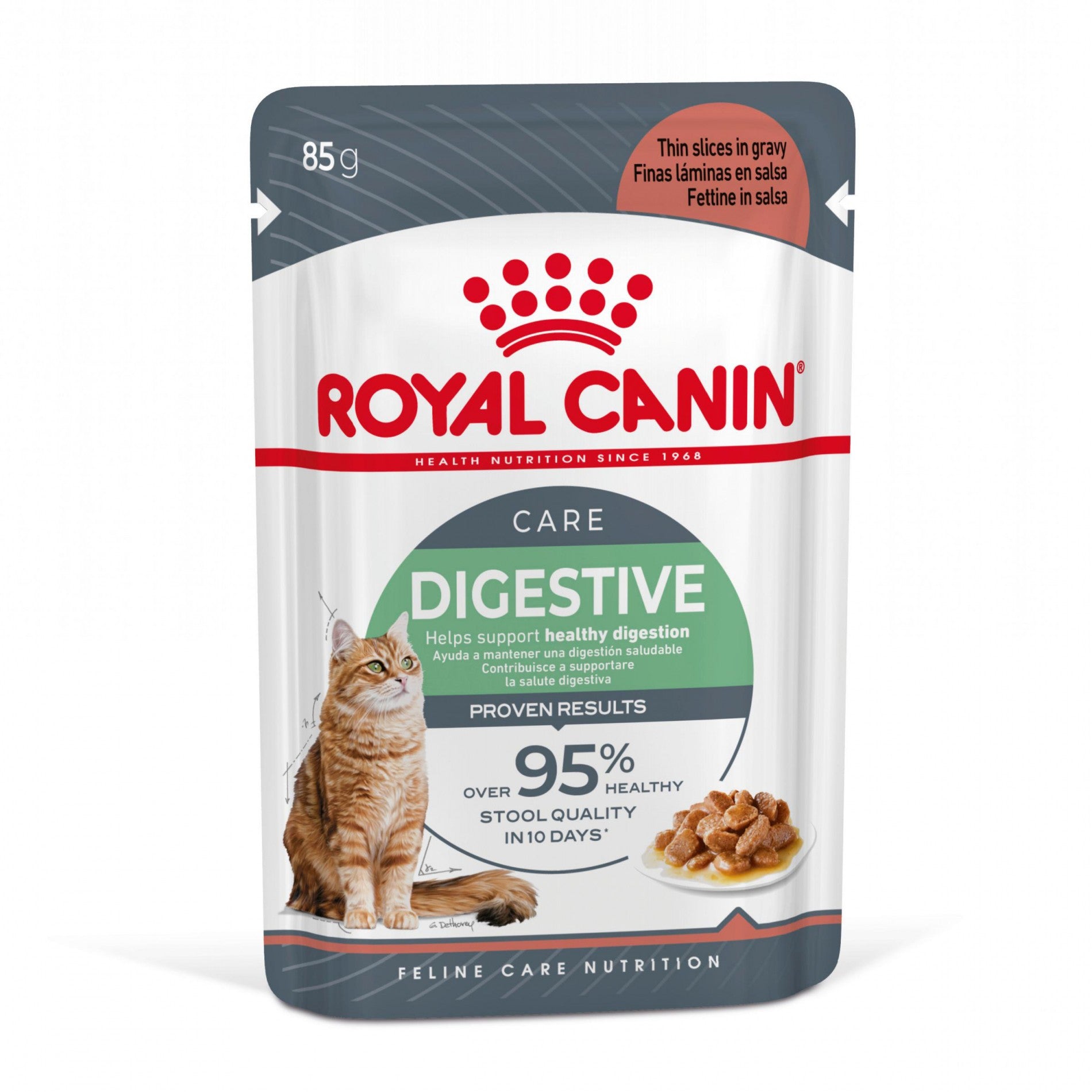 Royal Canin Digest Sensitive - pâtée chat