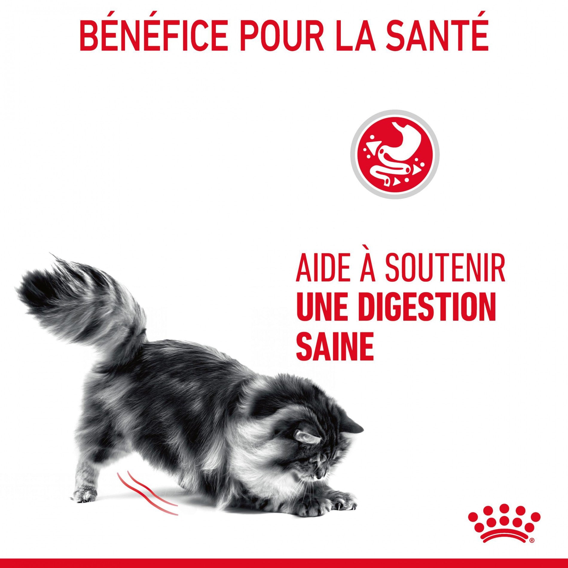 Royal Canin Digest Sensitive - pâtée chat