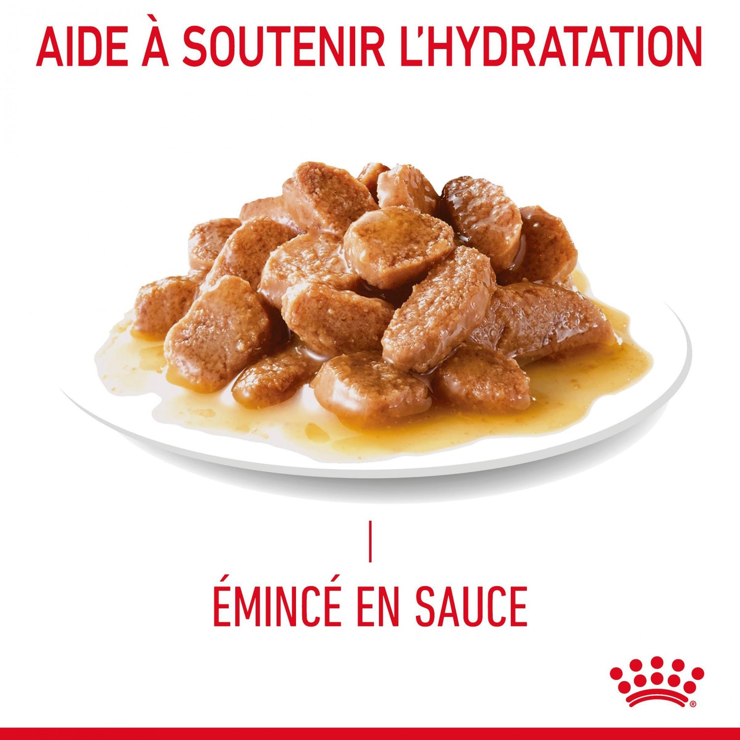 Royal Canin Digest Sensitive - pâtée chat