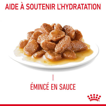 Royal Canin Digest Sensitive - pâtée chat