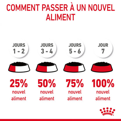 Royal Canin Digest Sensitive - pâtée chat
