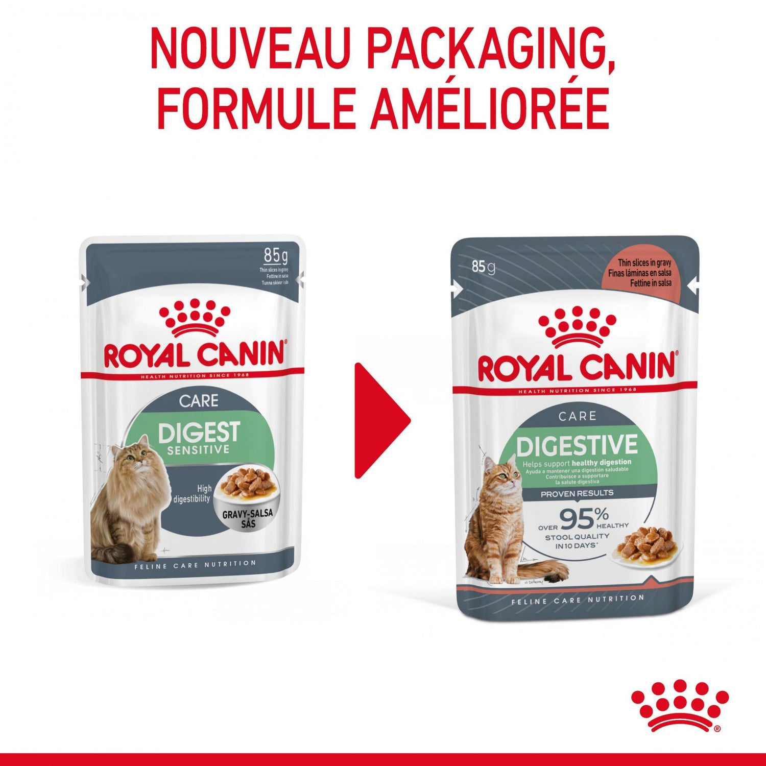 Royal Canin Digest Sensitive - pâtée chat