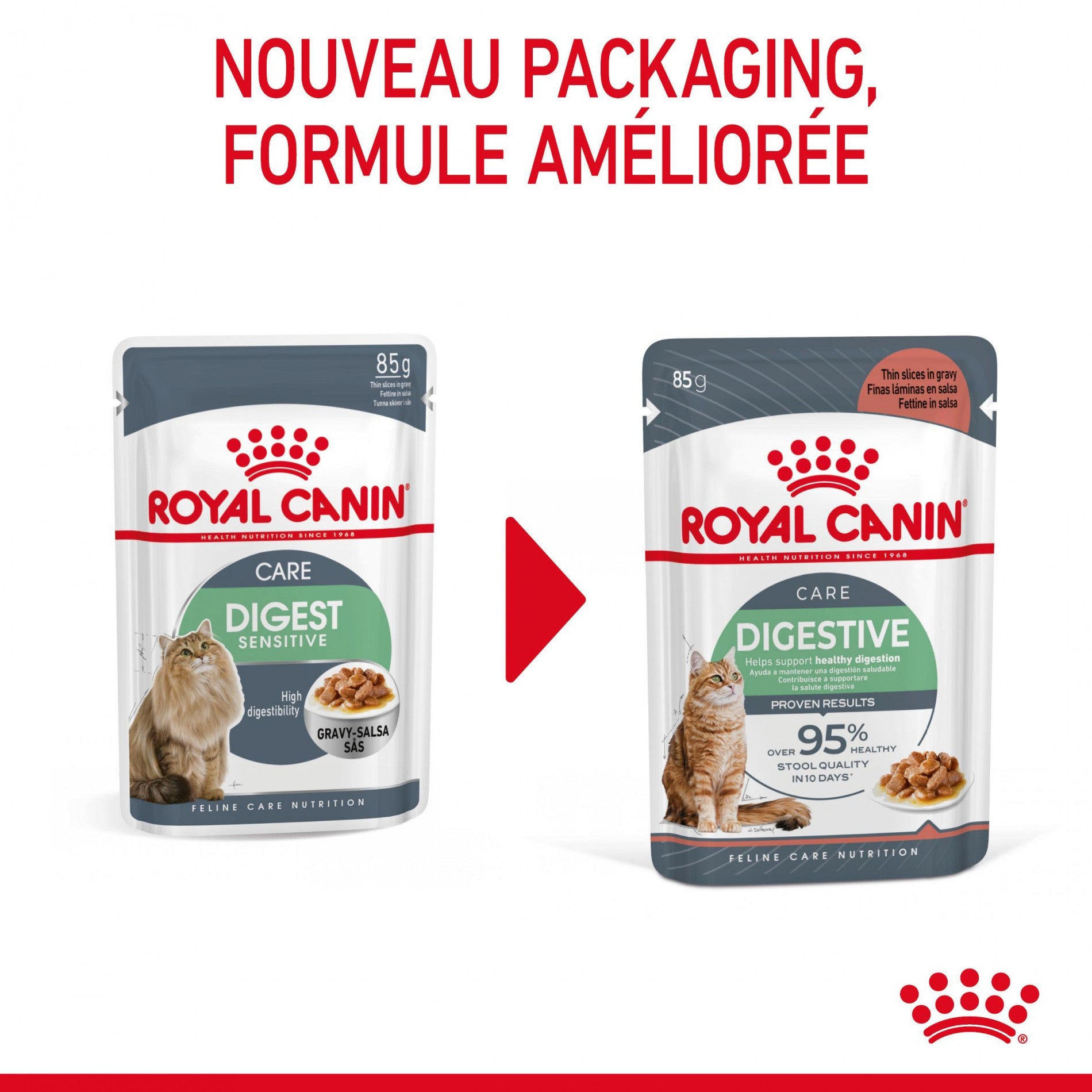 Royal Canin Digest Sensitive - pâtée chat