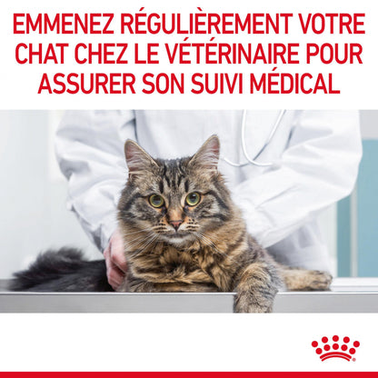 Royal Canin Digest Sensitive - pâtée chat